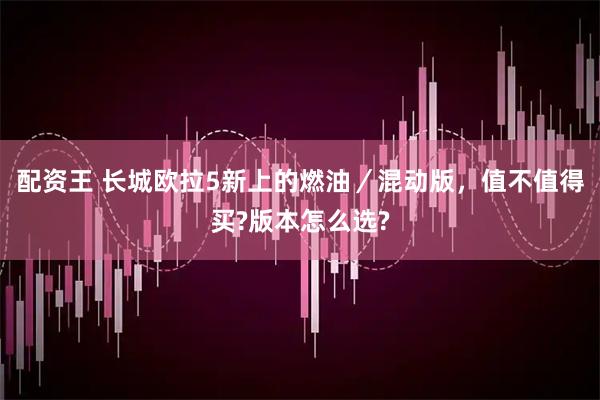配资王 长城欧拉5新上的燃油／混动版，值不值得买?版本怎么选?